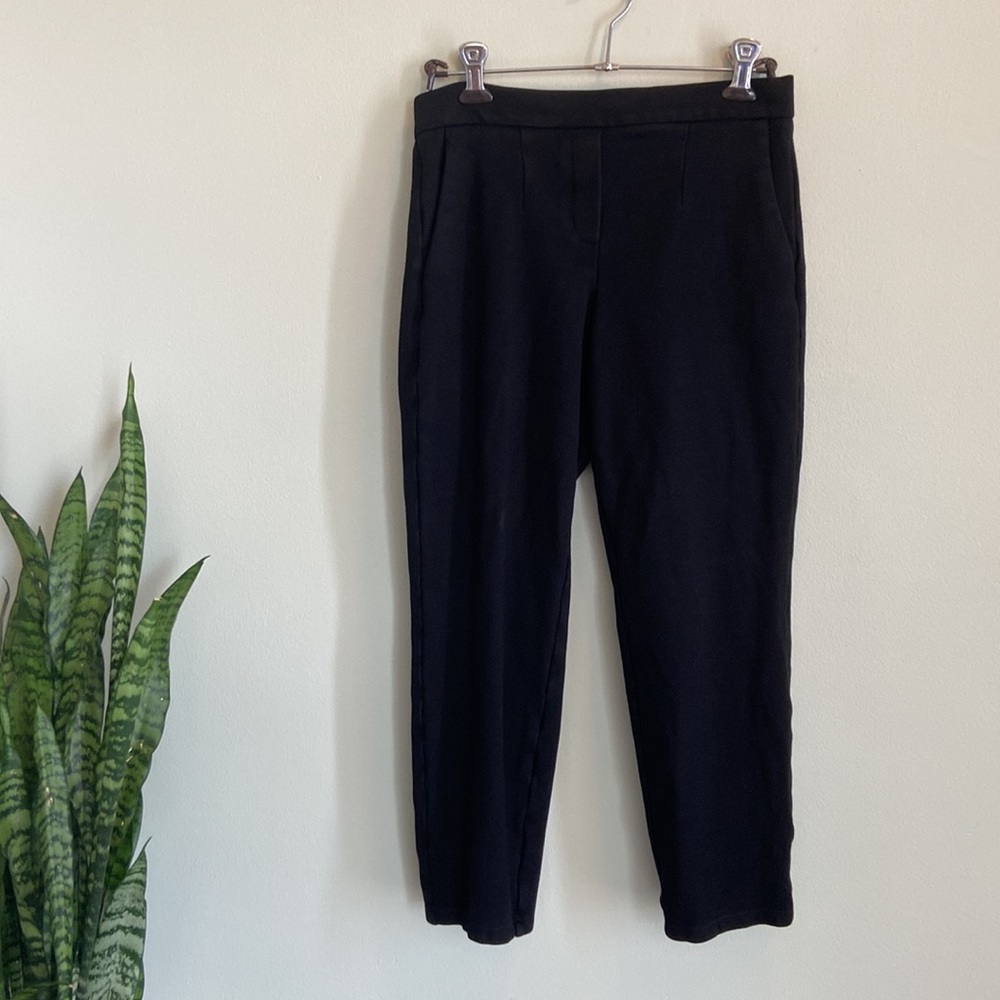 Aritzia Babaton Pants